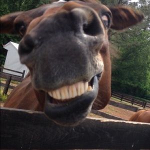 Meet your Posher, Beth